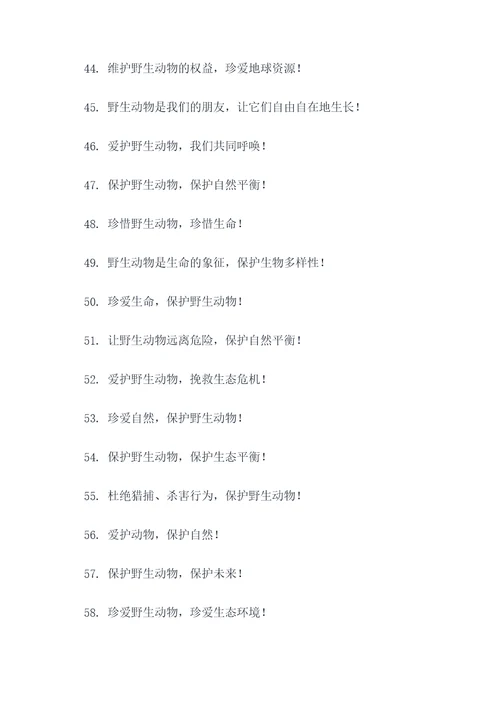 野生动物保护简短口号