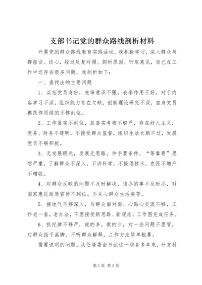 支部书记党的群众路线剖析材料.docx