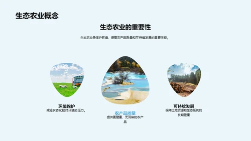 绿色农业新篇章