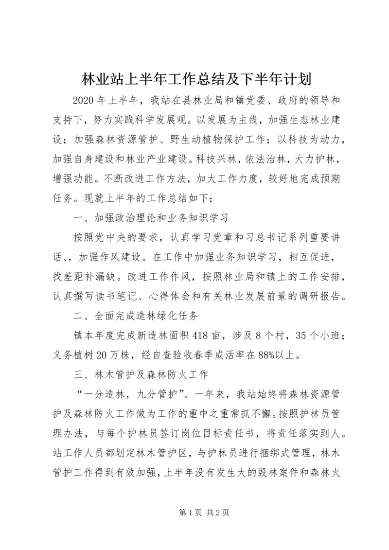 林业站上半年工作总结及下半年计划.docx