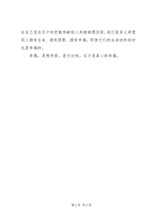 大爱付出活动感想 (4).docx