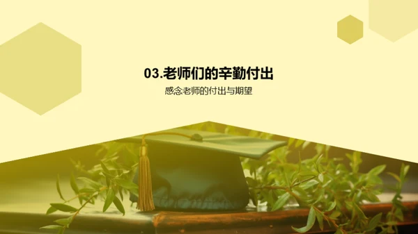 大学四年的历程