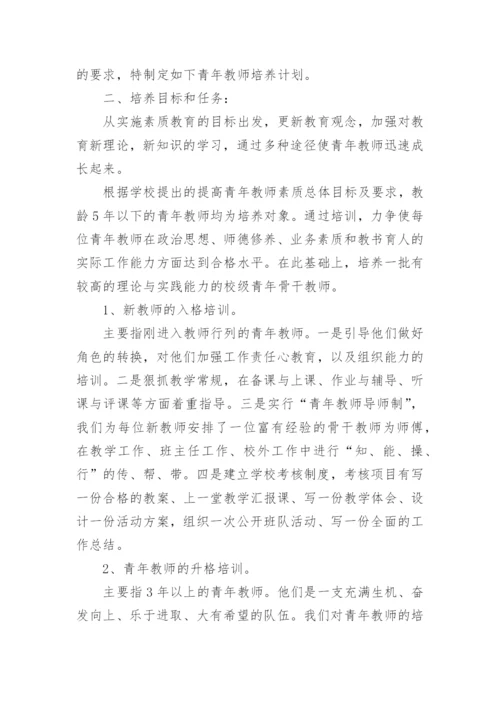 培养、指导青年教师工作计划.docx