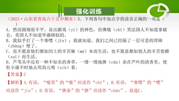 专题01：汉字（考点串讲）-2023-2024学年九年级语文上学期期末考点大串讲（统编版）课件(共2