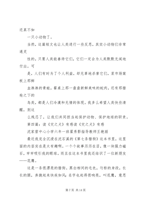 灾之犬的读后感.docx