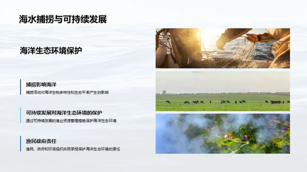 海洋生态：捕捞与守护