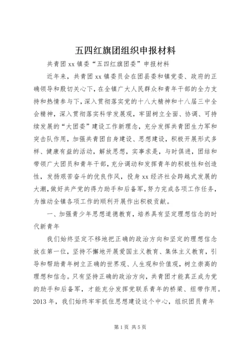 五四红旗团组织申报材料.docx