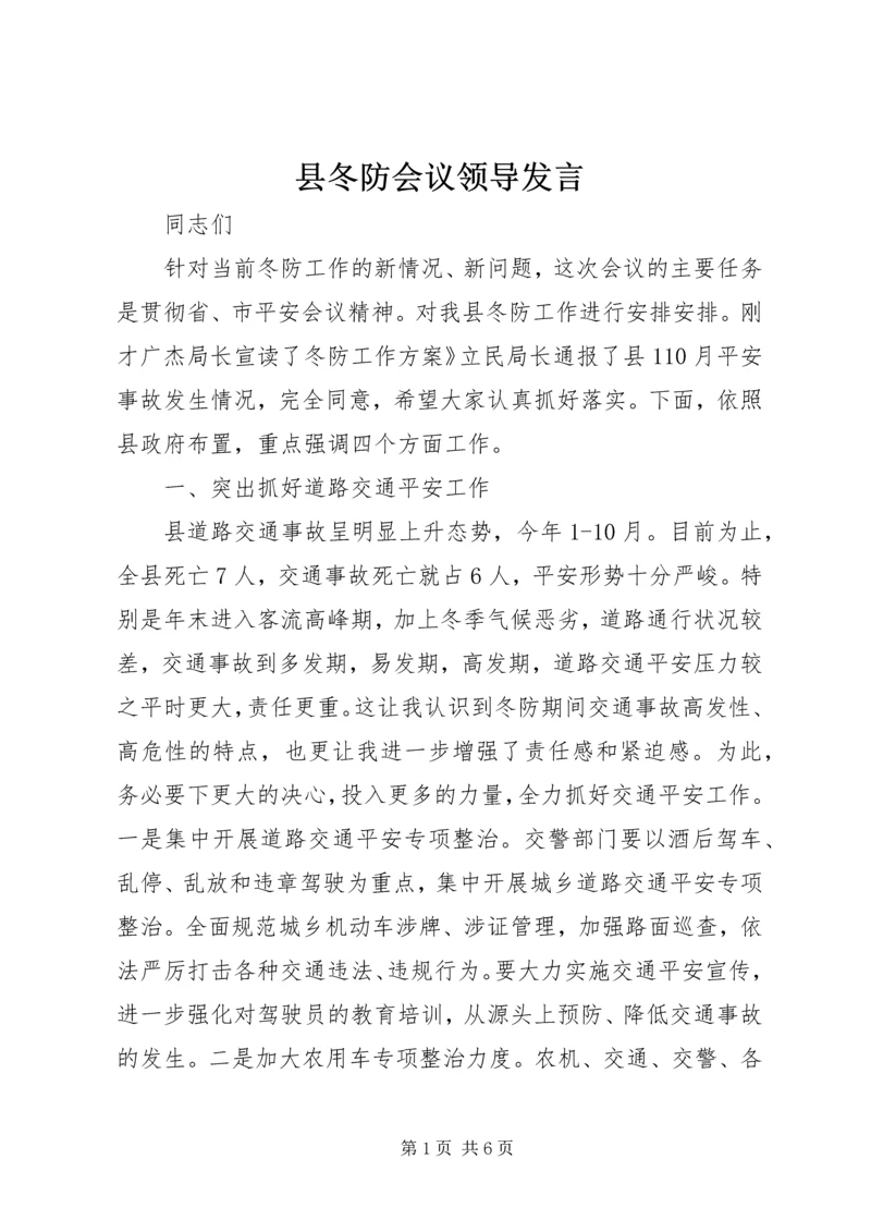 县冬防会议领导发言.docx