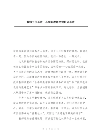 教师工作总结  小学新教师岗前培训总结.docx