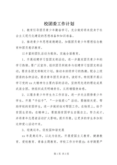 校团委工作计划 (3).docx