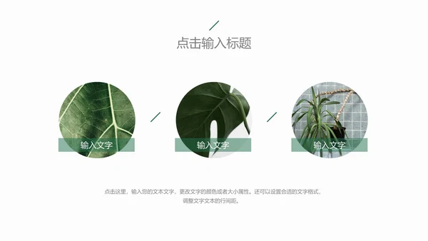 植物年终总结模版PPT模板