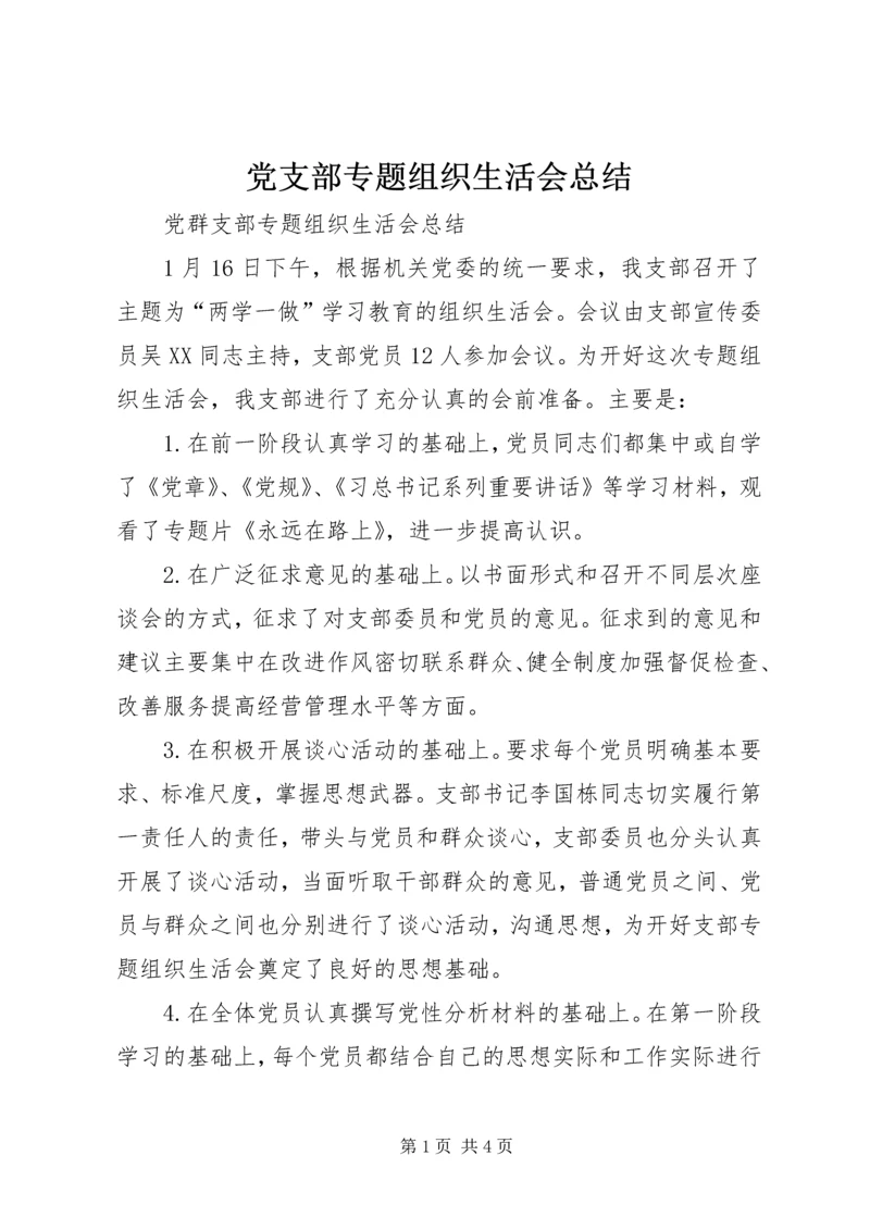 党支部专题组织生活会总结.docx