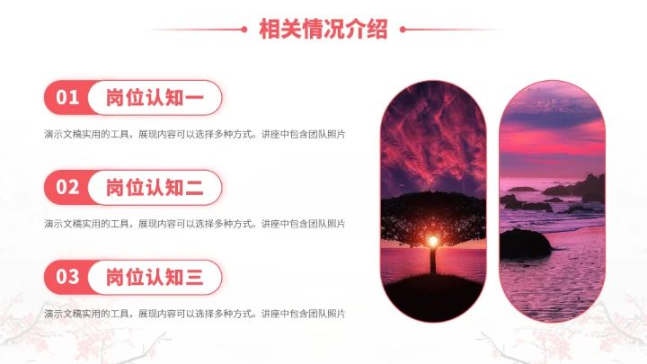 红色中国风大学生职业生涯规划PPT模板