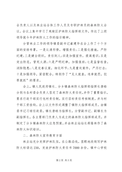 乡镇森林防火工作汇报.docx