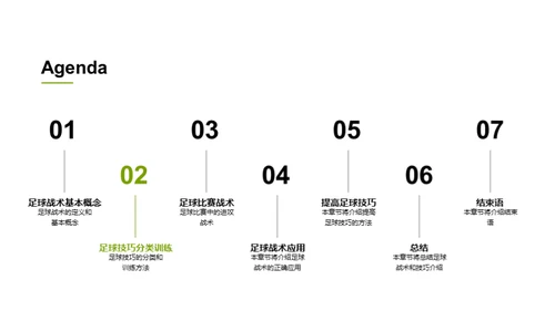 足球：技巧与战术解析