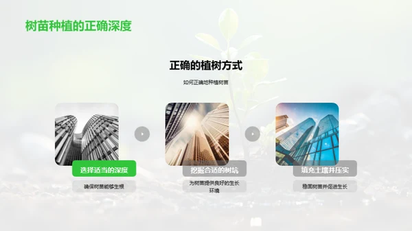 播种绿意 传承希望