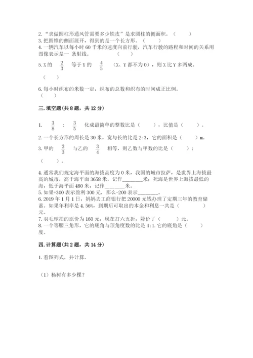 大石桥市六年级下册数学期末测试卷精品带答案.docx