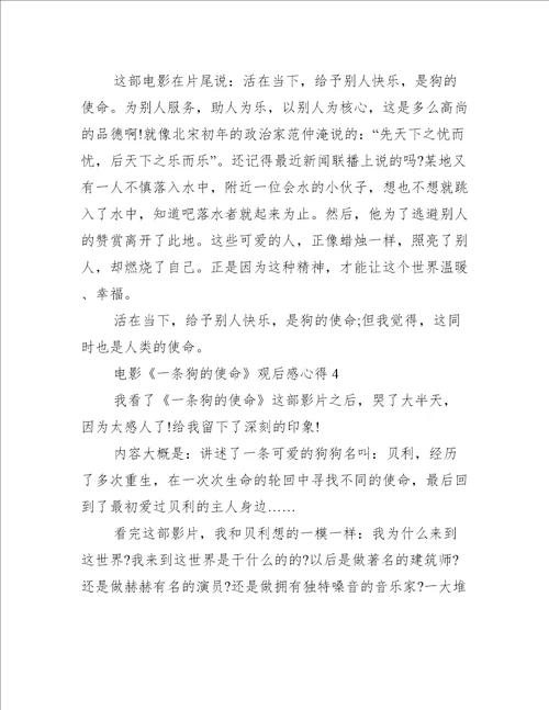 电影一条狗的使命观后感心得