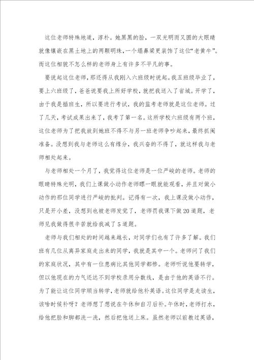 关于教师节的作文300字左右16篇
