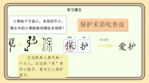 识字3 小青蛙（课件）