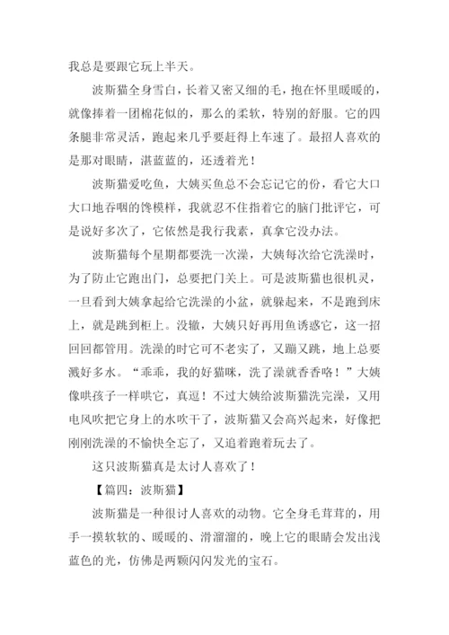波丝猫作文0.docx
