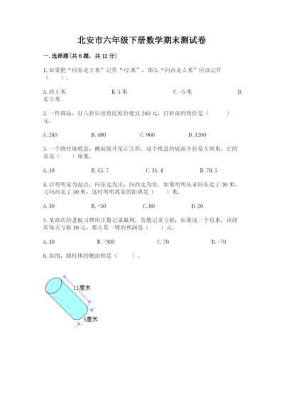 北安市六年级下册数学期末测试卷word.docx