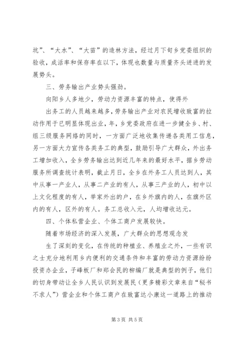 向阳乡二五年六项重点工作汇报 (2).docx