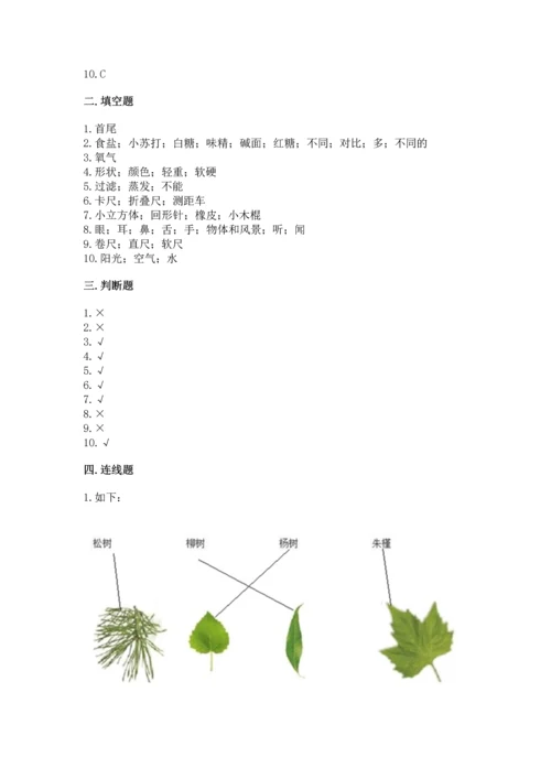 教科版一年级上册科学期末测试卷各版本.docx