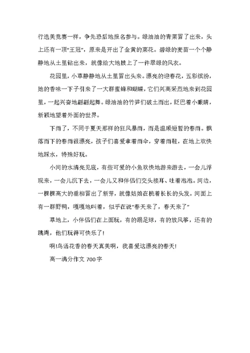 高一满分作文700字