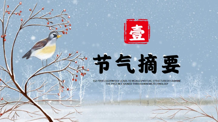 大寒时节冬季通用PPT模板