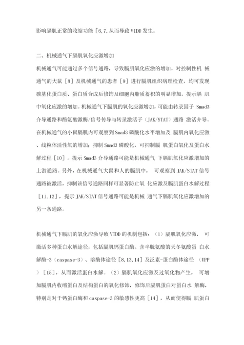 2022呼吸机相关膈肌功能障碍的主要发病机制2.docx