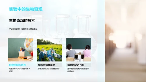 实验课的科学探究