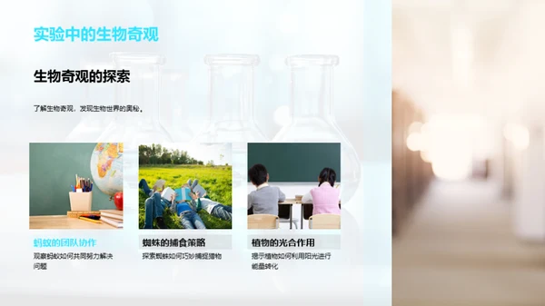 实验课的科学探究