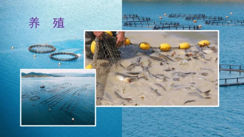 2.3中国的河流（第1课时课件41张）-人教版八年级地理上册