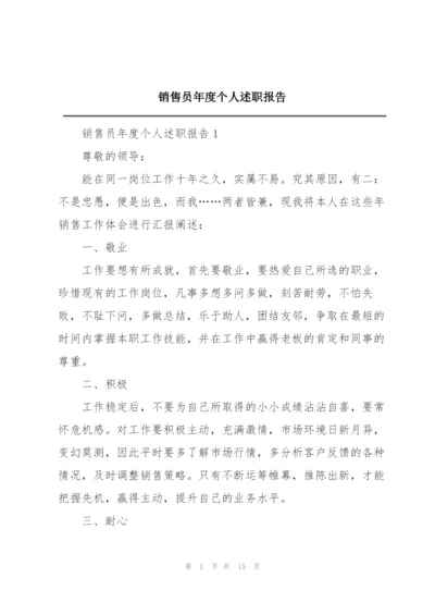 销售员年度个人述职报告.docx