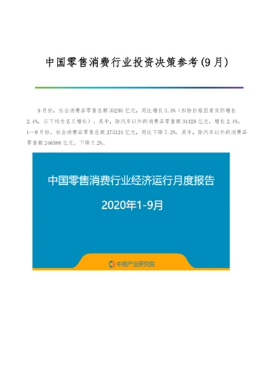 中国零售消费行业投资决策参考(9月).docx