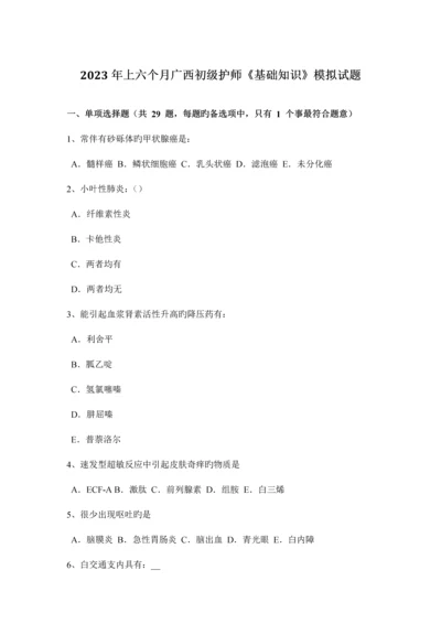 2023年上半年广西初级护师基础知识模拟试题.docx