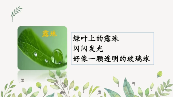 统编版二年级下册  语文园地二第一课时  课件