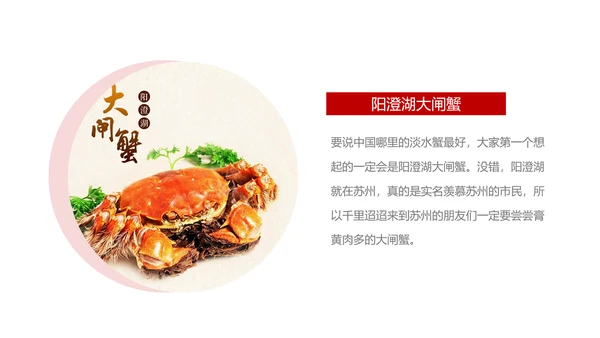 印象苏州旅游城市风光PPT模板