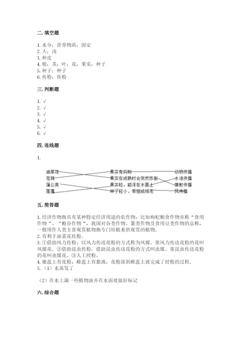 教科版四年级下册科学第一单元《植物的生长变化》测试卷（考点梳理）.docx