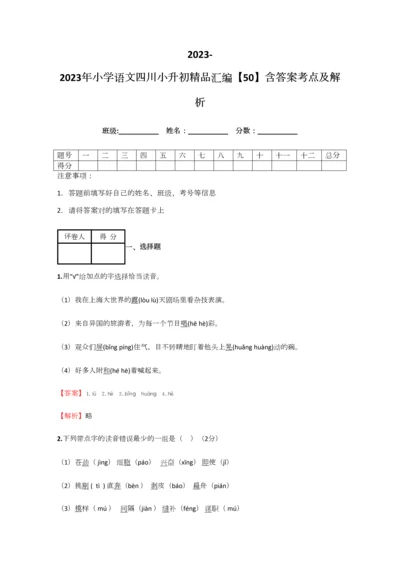 2023年小学语文四川小升初精品汇编含答案考点及解析.docx