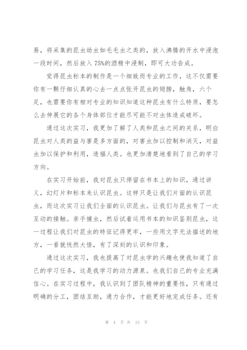 数学教师见习体会600字经典10篇.docx
