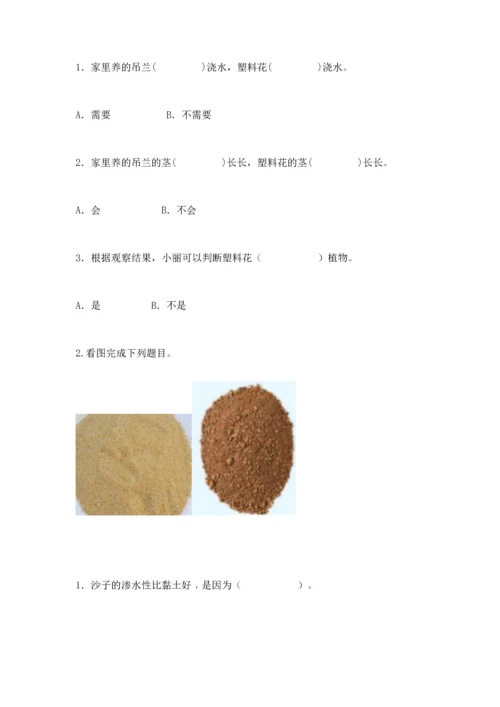 苏教版一年级下册科学期末测试卷及一套完整答案.docx