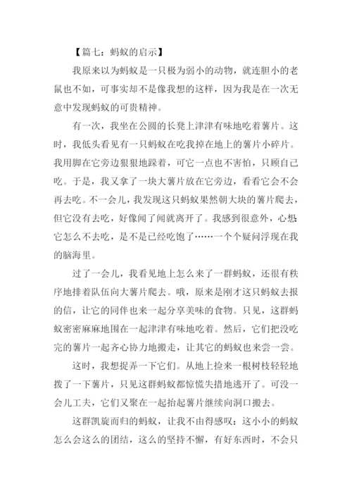 蚂蚁的启示作文-6.docx