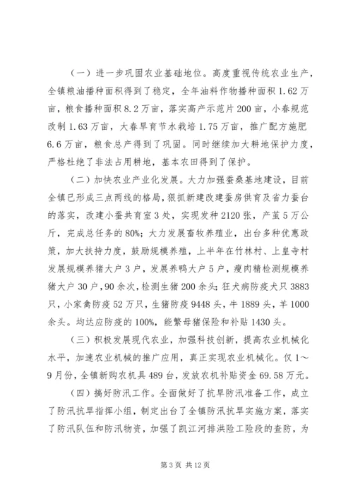 乡镇政府201X年下半年工作总结及年末工作计划.docx