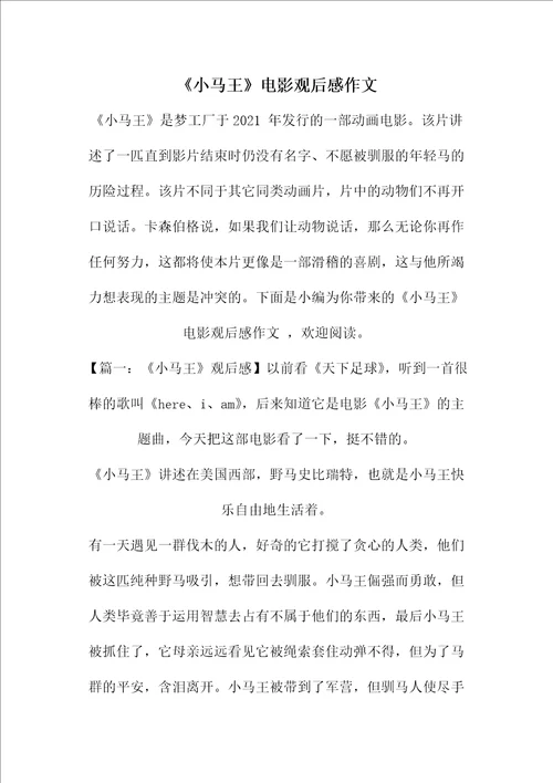 小马王电影观后感作文
