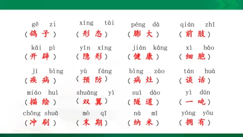 统编版语文四年级下册 第二单元 复习课件（共26张PPT）