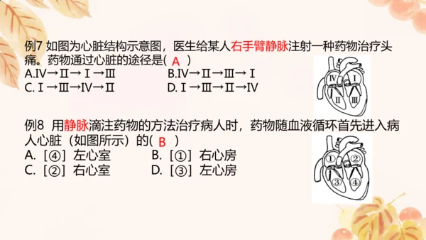 第四单元第四章人体内物质的运输 复习课件(共23张PPT)人教版七年级下册