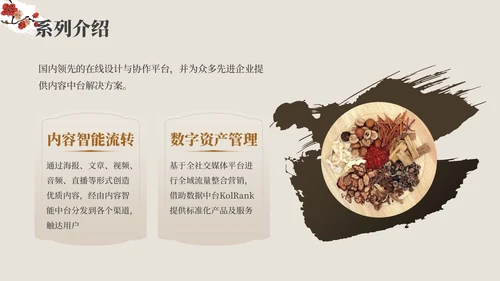 红棕色中医药产品介绍PPT模板