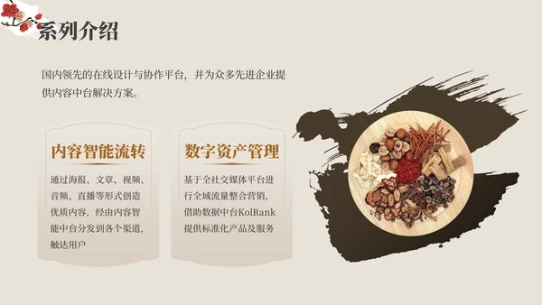 红棕色中医药产品介绍PPT模板